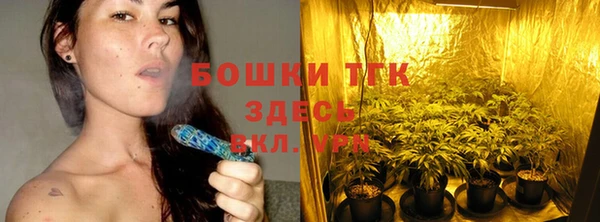 тгк Горняк